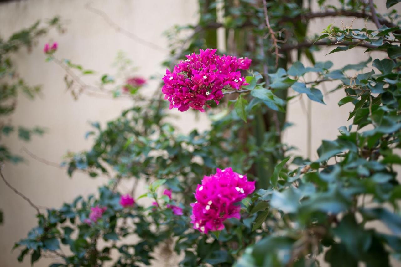 One-Bedroom Apartment Garden G1
